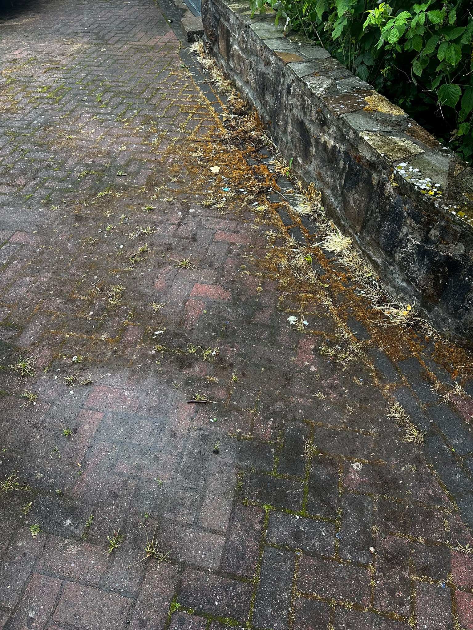 DRIVEWAYS & PATIOS